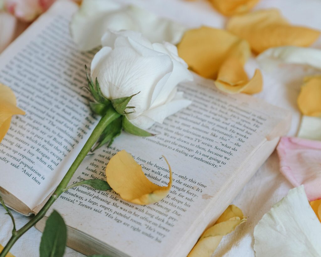 white rose with yellow and pink petals on book